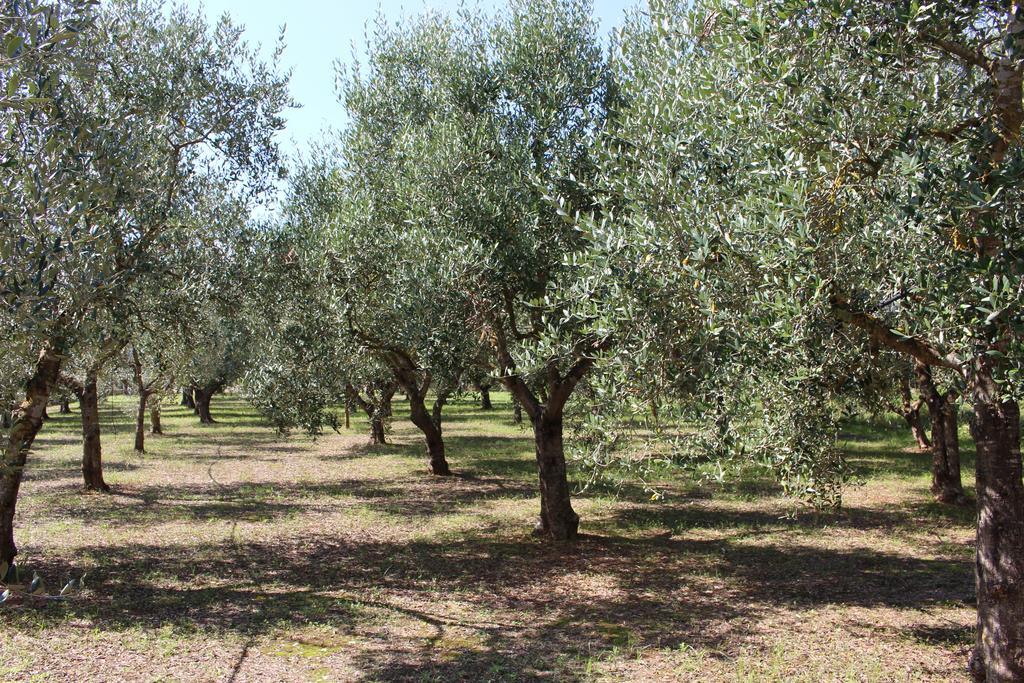 B&B La Gazza Ladra Carmiano  Exteriér fotografie