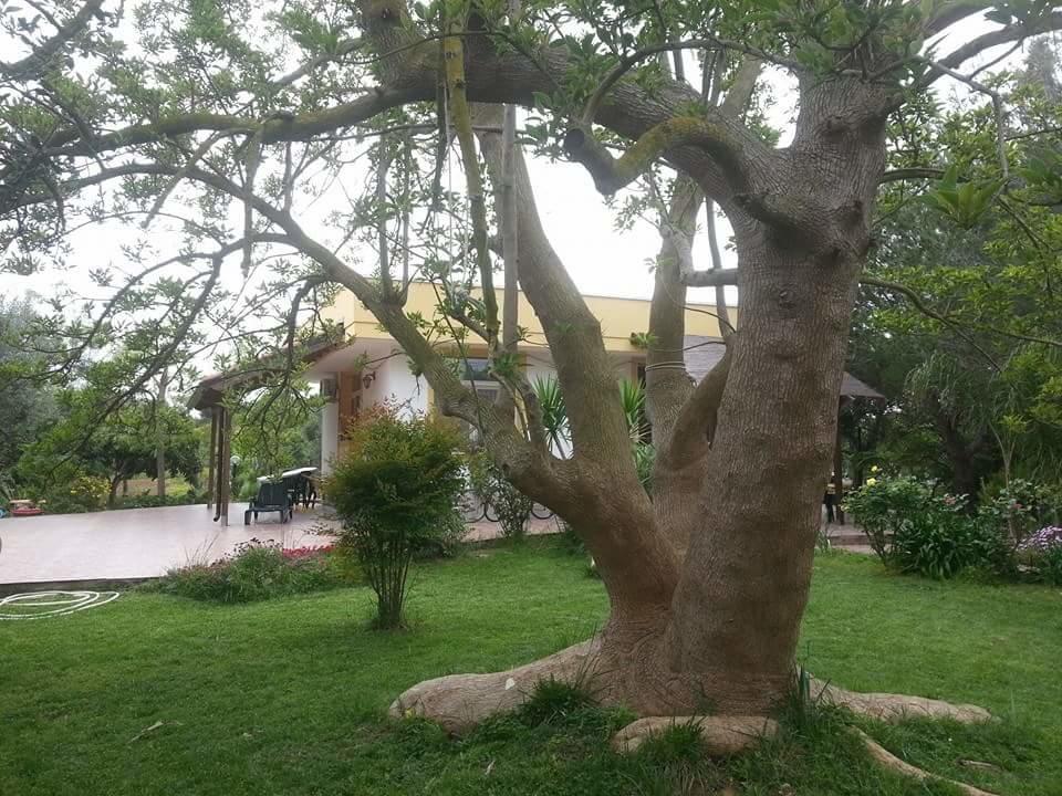 B&B La Gazza Ladra Carmiano  Exteriér fotografie